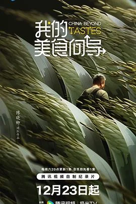 我的美食向导 海报