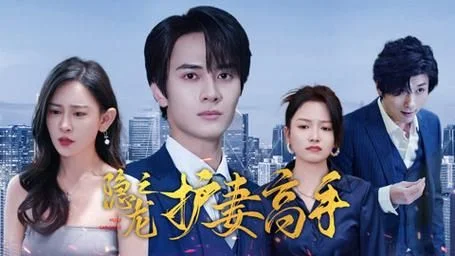 隐龙之护妻高手 海报