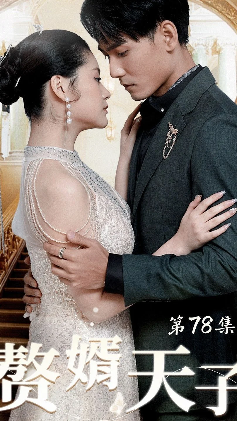 赘婿天子 海报