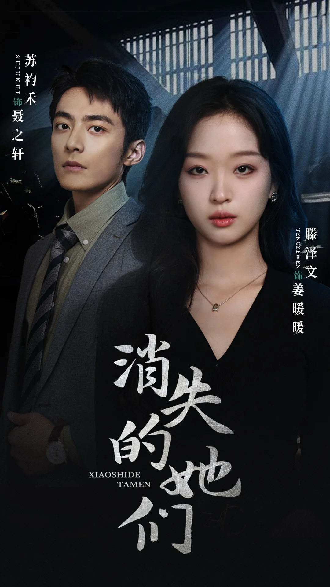 消失的她们 海报