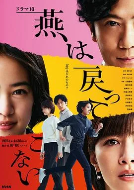 燕子不再归来 海报