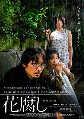 腐花之雨 海报