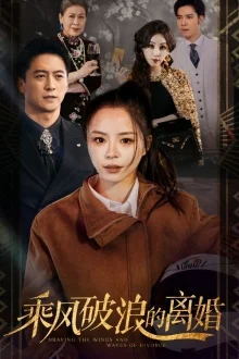 乘风破浪的离婚 海报