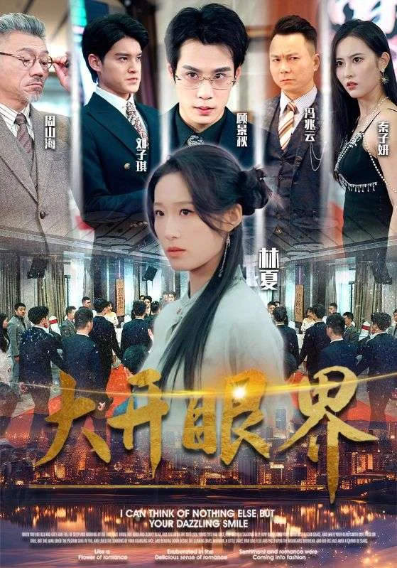 大开眼界短剧 海报