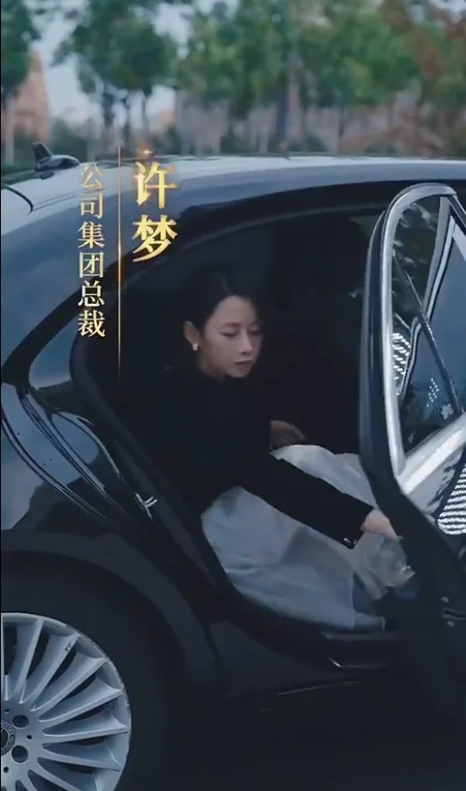 女老板的复仇 海报