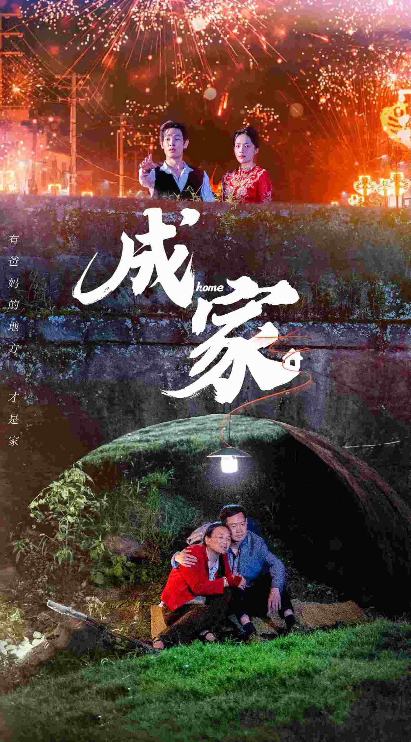 成家 海报