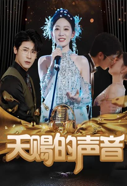 天赐的声音 海报
