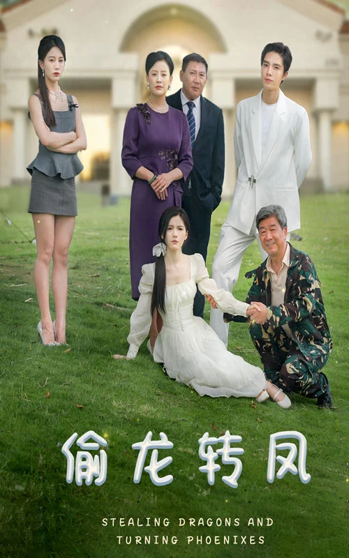 偷龙转凤短剧 海报
