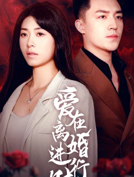 爱在离婚进行时 海报