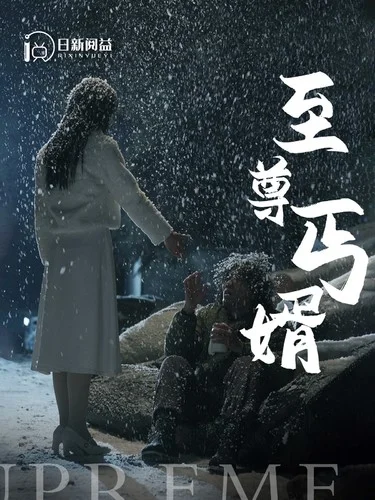 至尊丐婿 海报