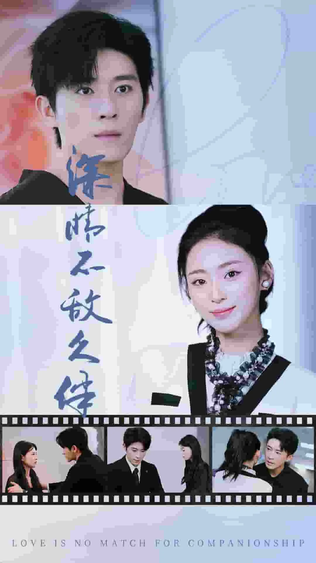 深情不敌久伴 海报