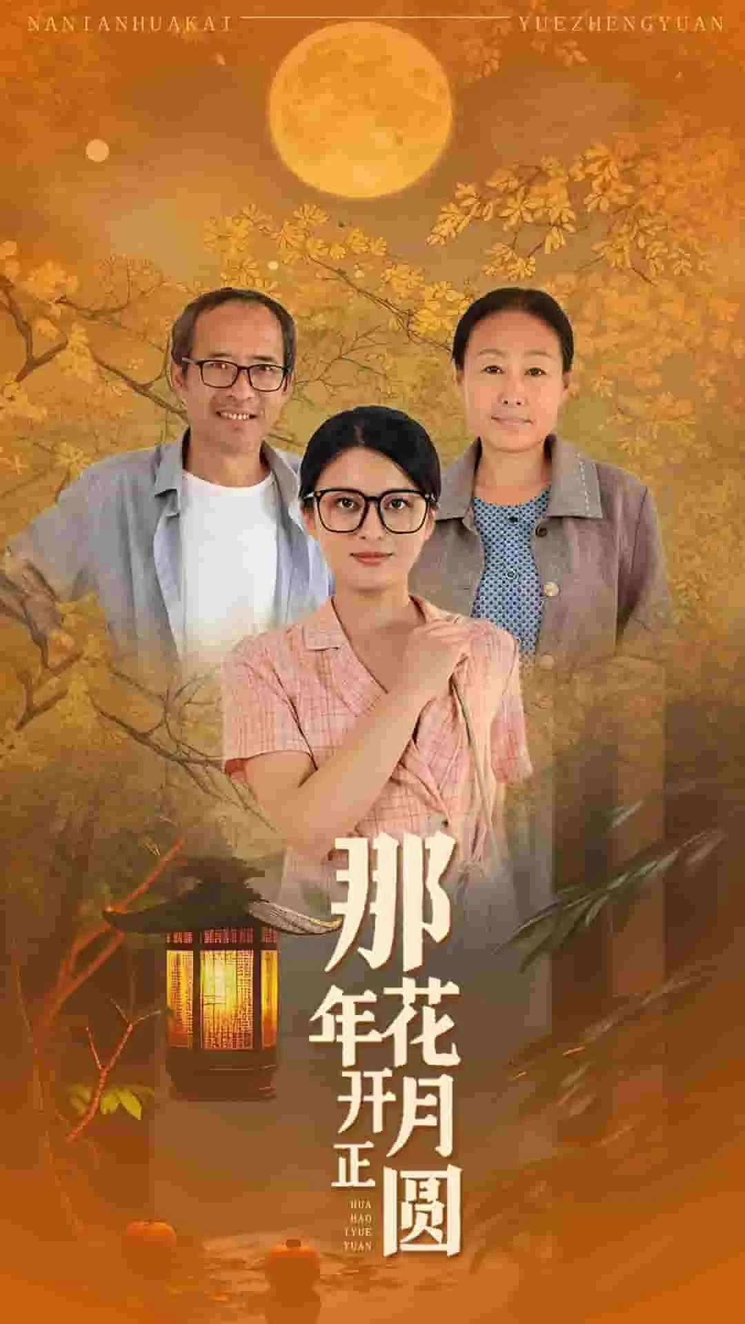 那年花开月正圆 短剧 海报