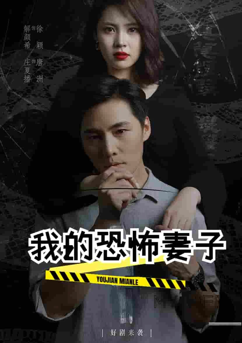我的恐怖妻子短剧 海报