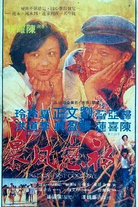 初恋风暴