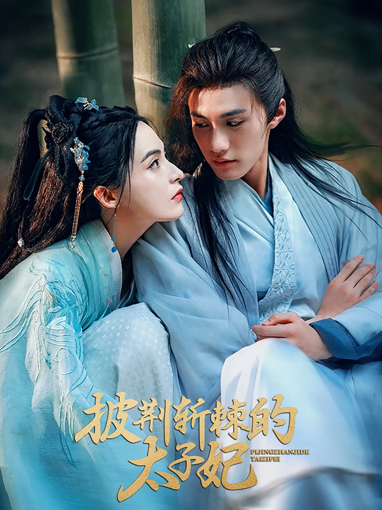 披荆斩棘的太子妃 海报