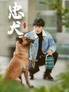 忠犬（短剧版） 海报