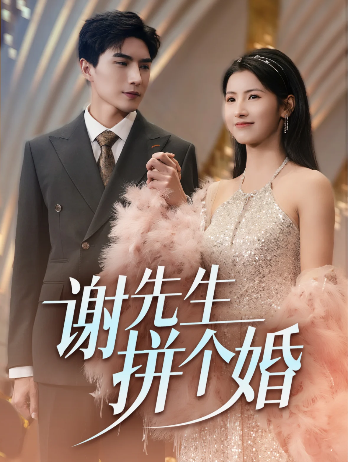 谢先生拼个婚 海报
