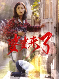 婆婆来了（短剧版） 海报