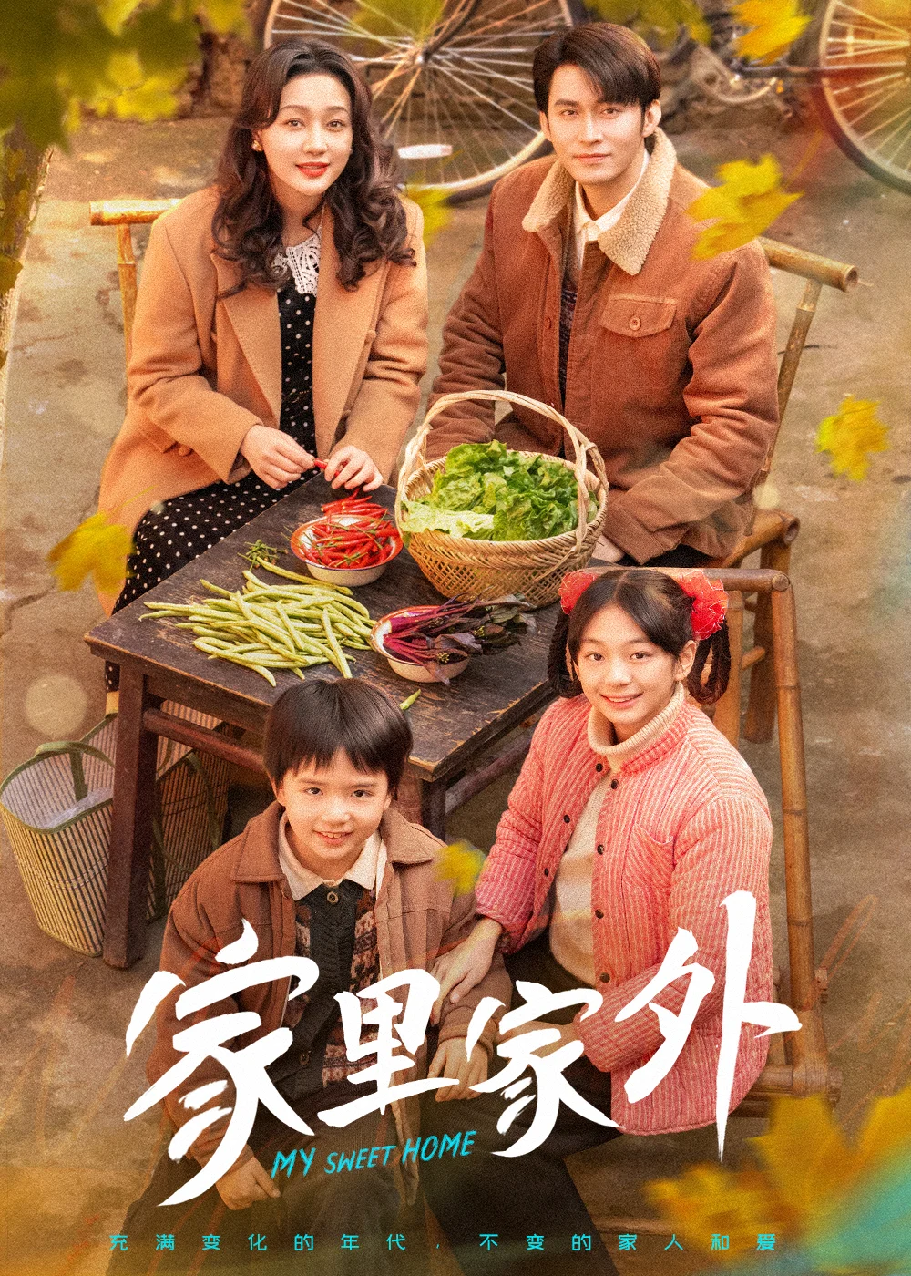 家里家外 短剧版 海报