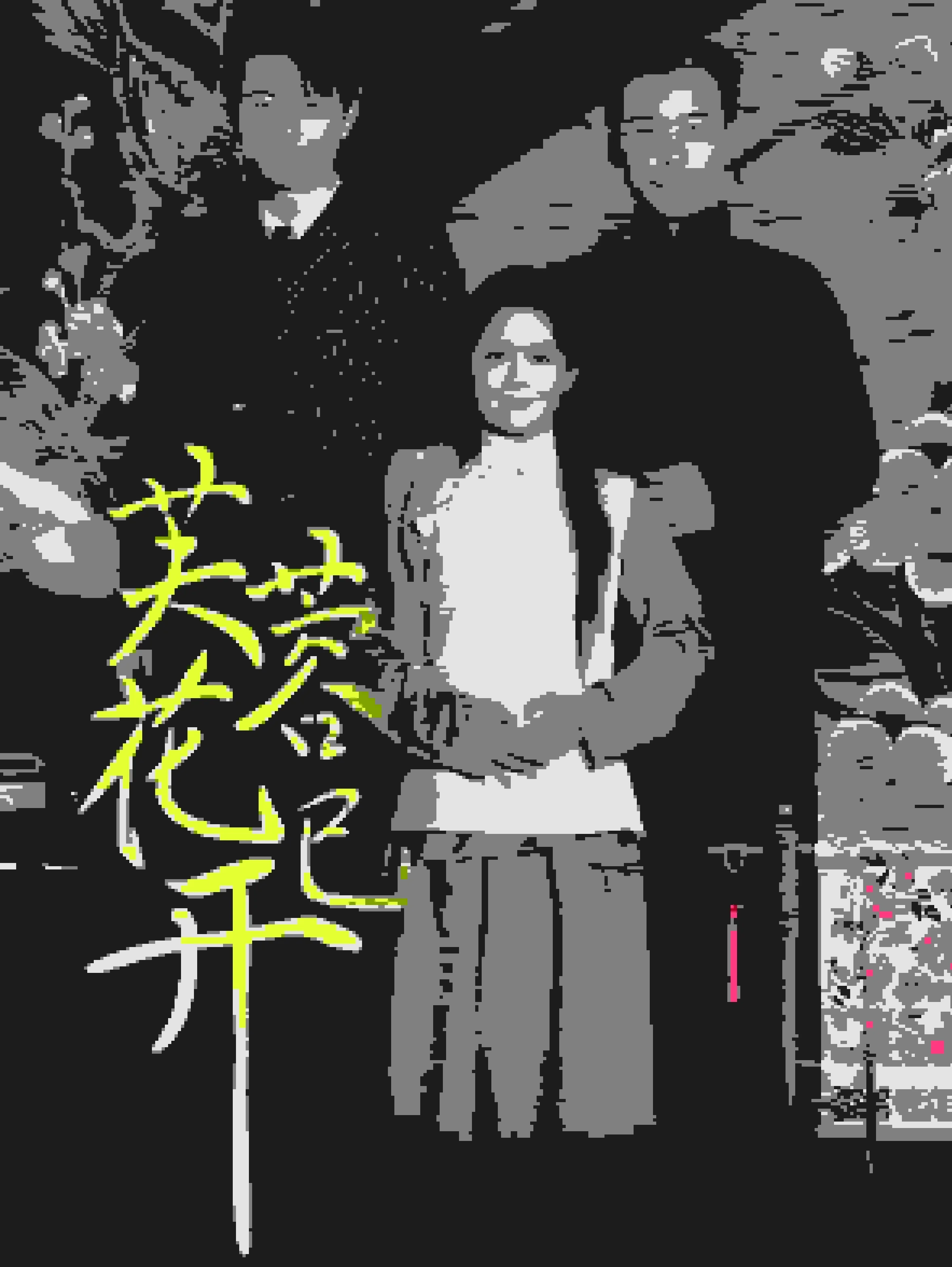 芙蓉花已开