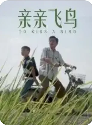 亲亲飞鸟