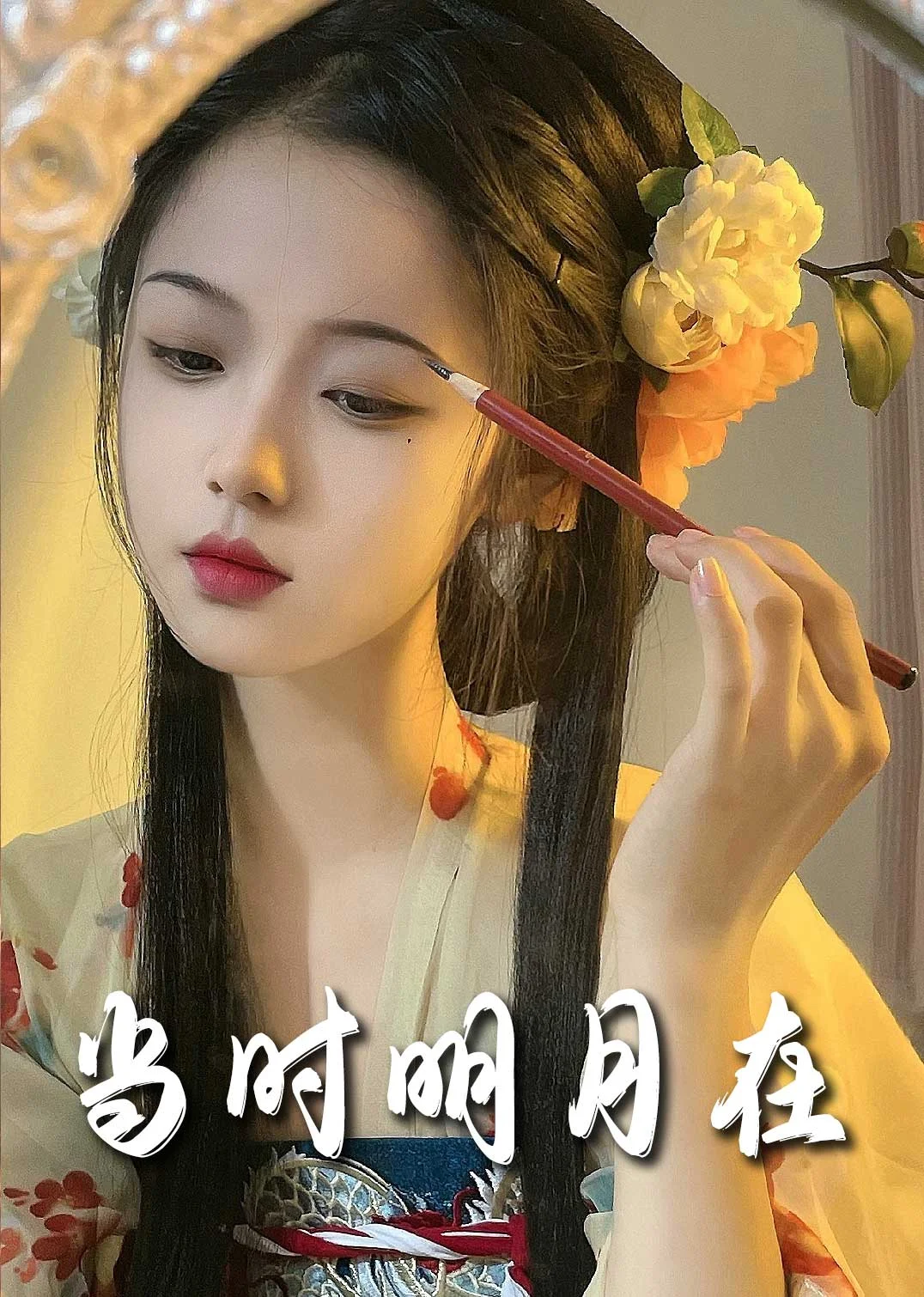 明月照南星 海报