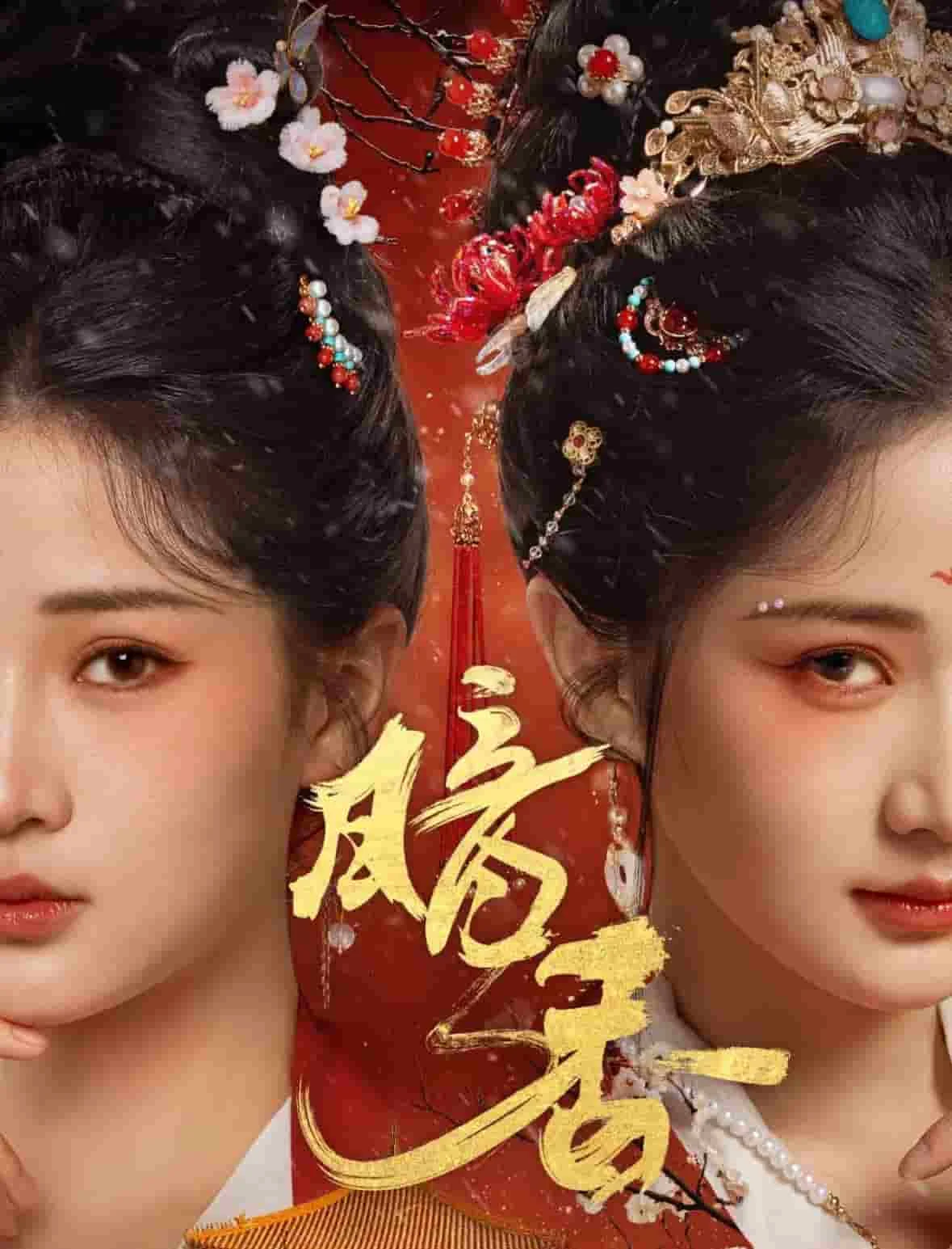 暗香（短剧版） 海报
