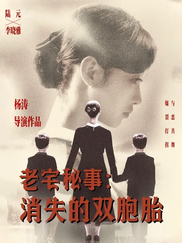 老宅秘事消失的双胞胎