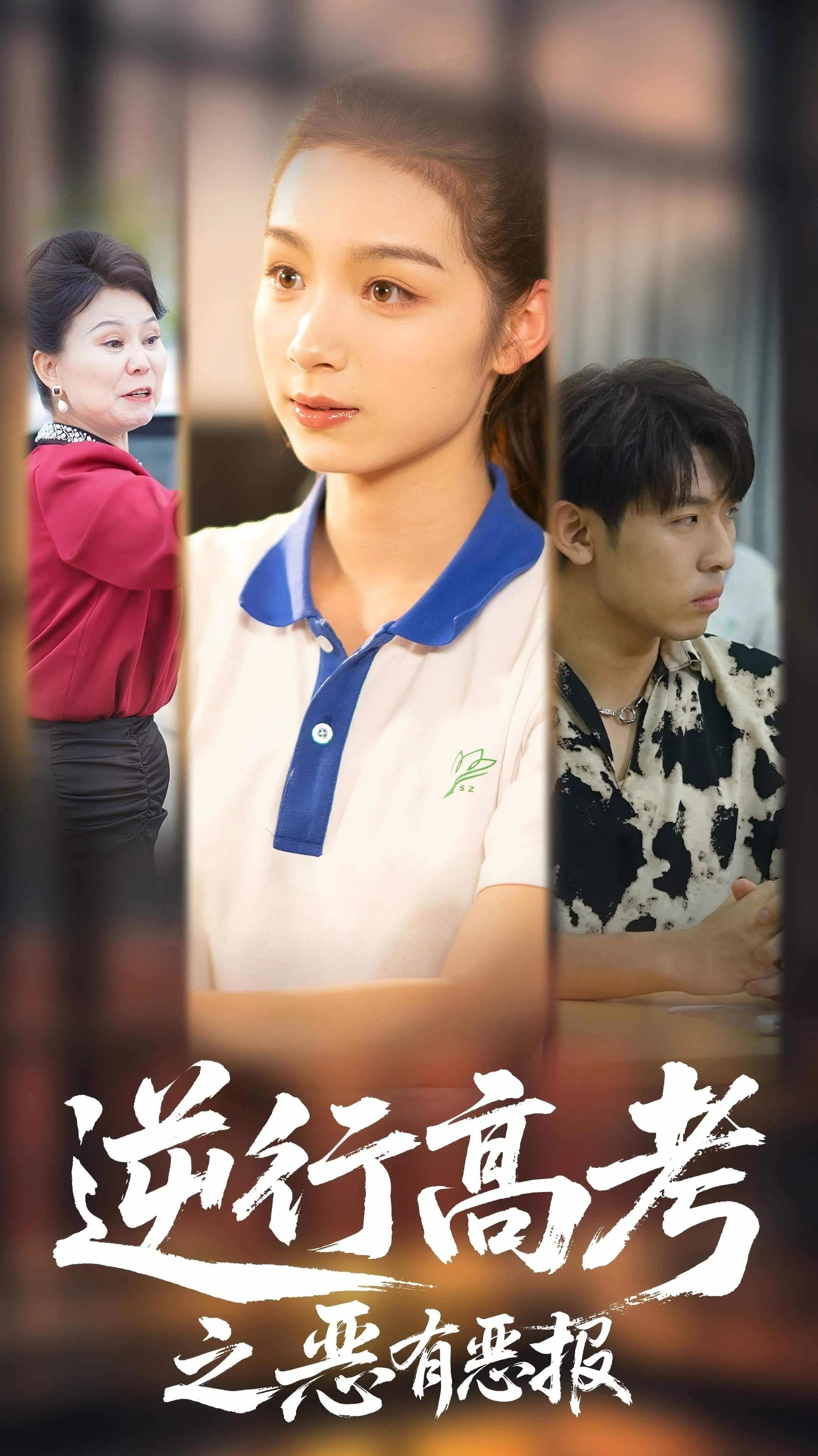 逆行高考之恶有恶 海报