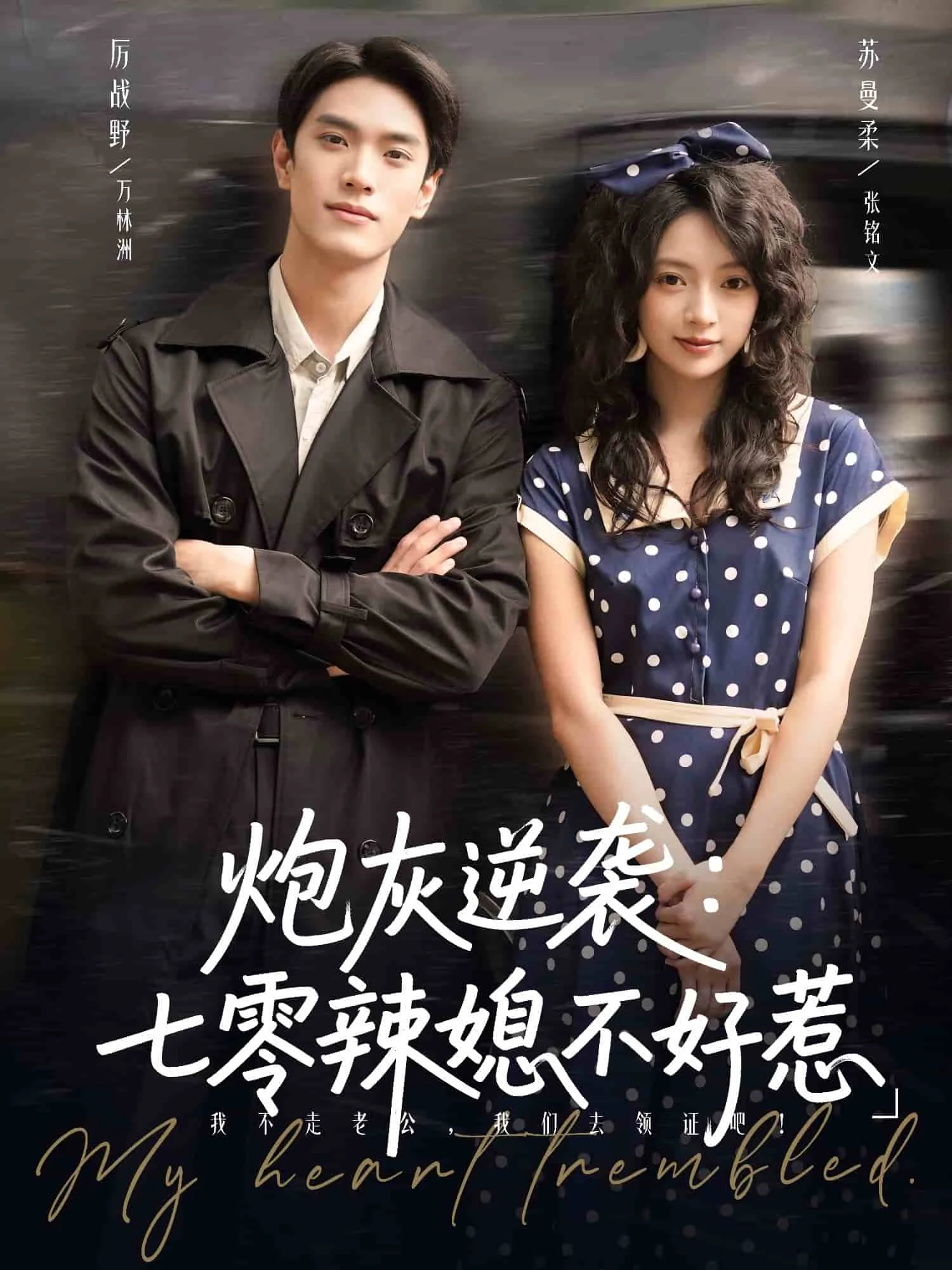 炮灰逆袭七零辣媳不好惹
