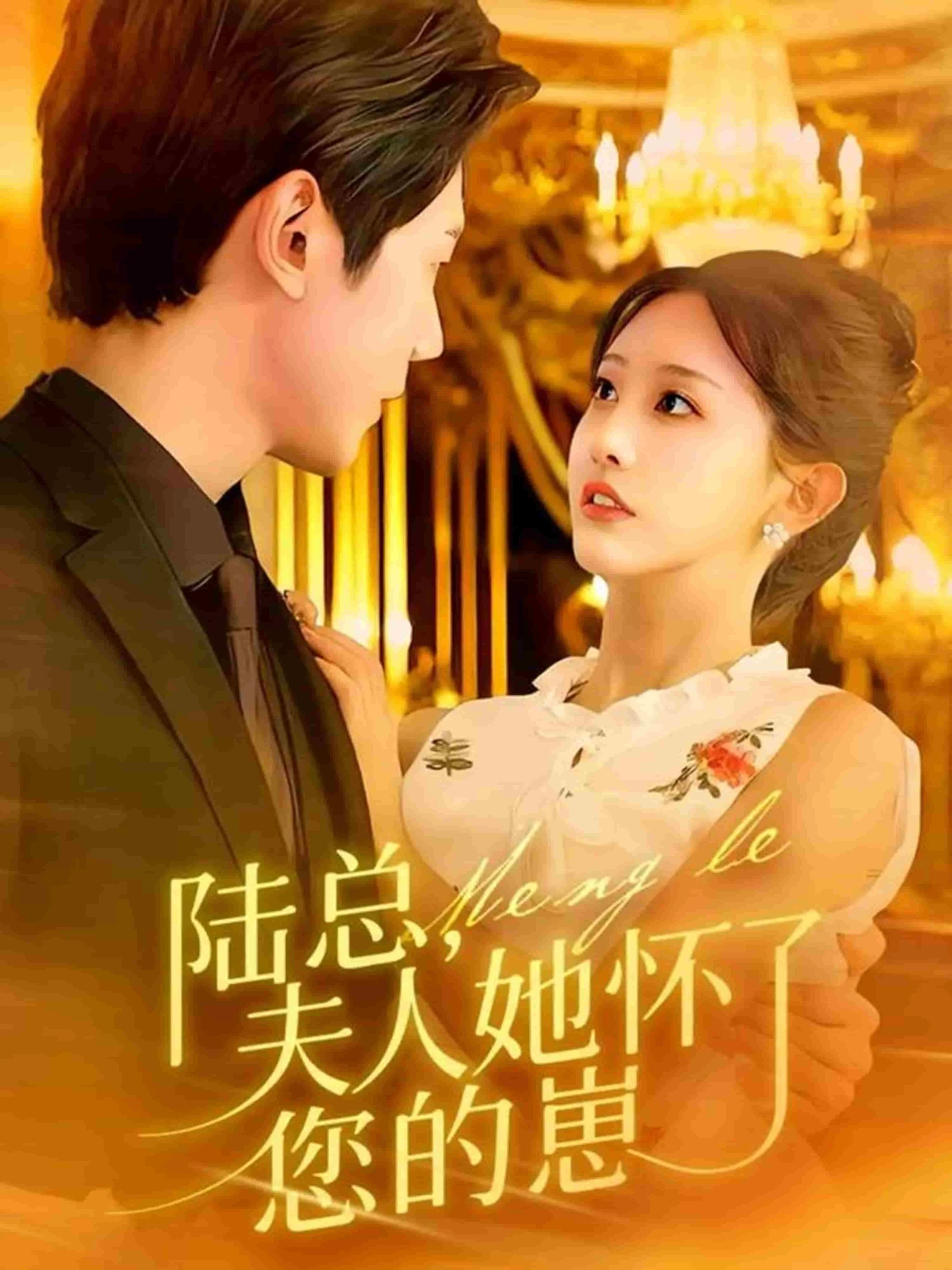 陆总，夫人她怀了您的崽