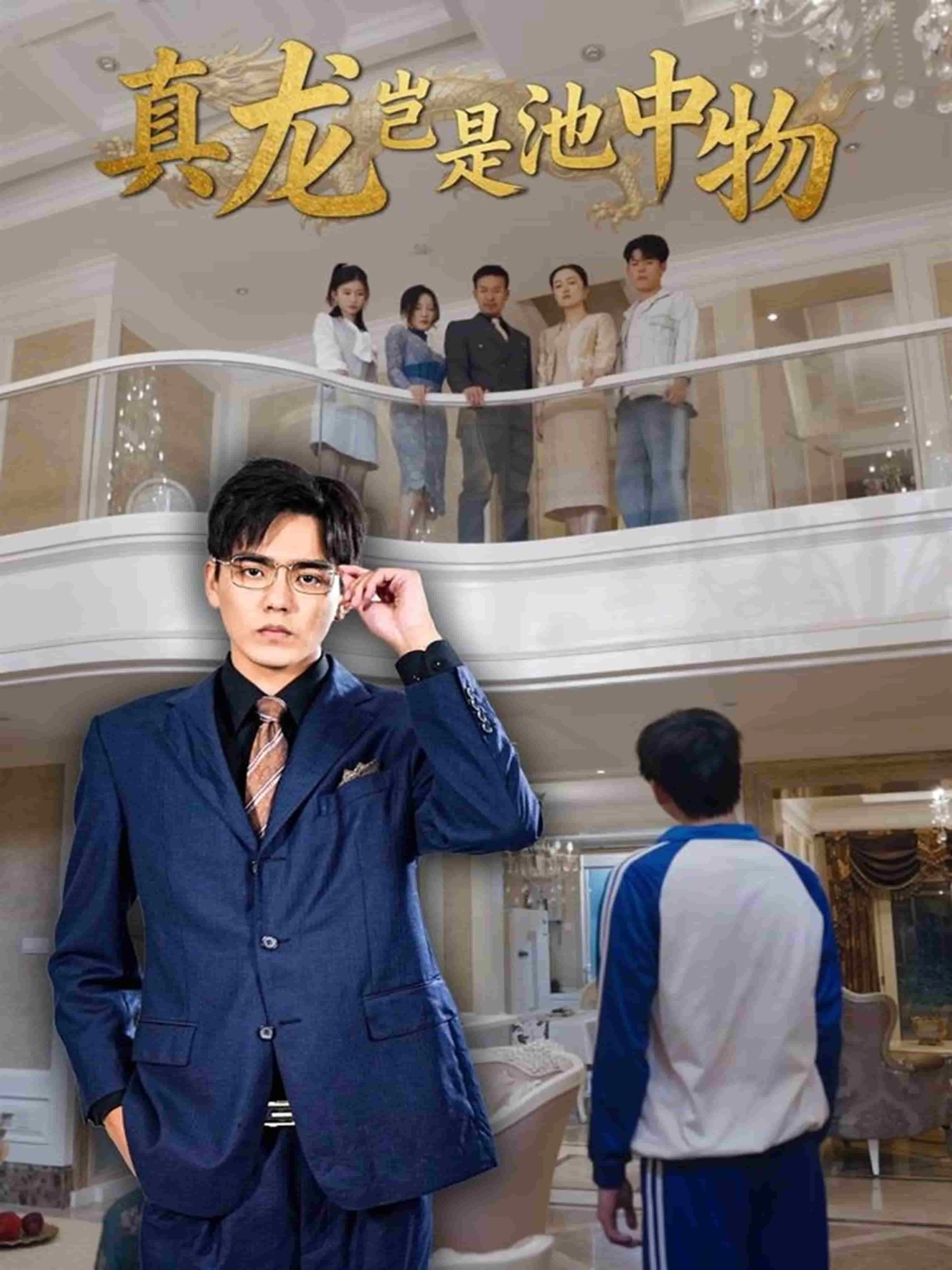 真龙岂是池中物