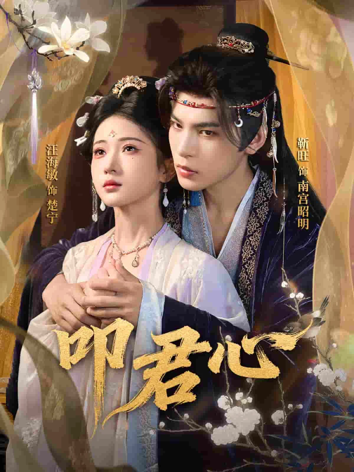 叩君心