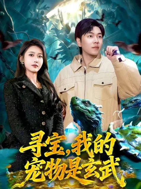 寻宝，我的宠物是玄武 海报