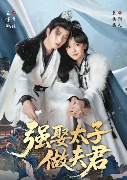 强娶太子做夫君 海报