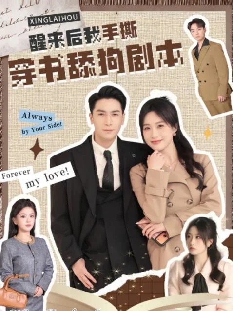 醒来后我手撕穿书舔狗剧本 海报