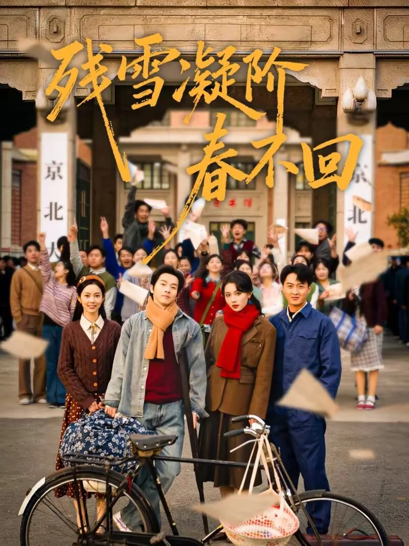 残雪凝阶春不回 海报