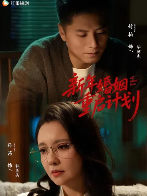 新年婚姻重启计划 海报