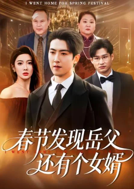 春节发现岳父还有个女婿 海报