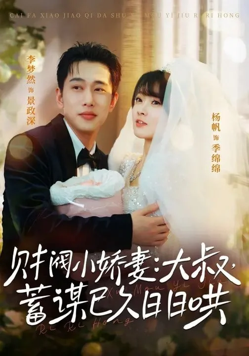 财阀小娇妻：大叔，蓄谋已久日日哄 海报