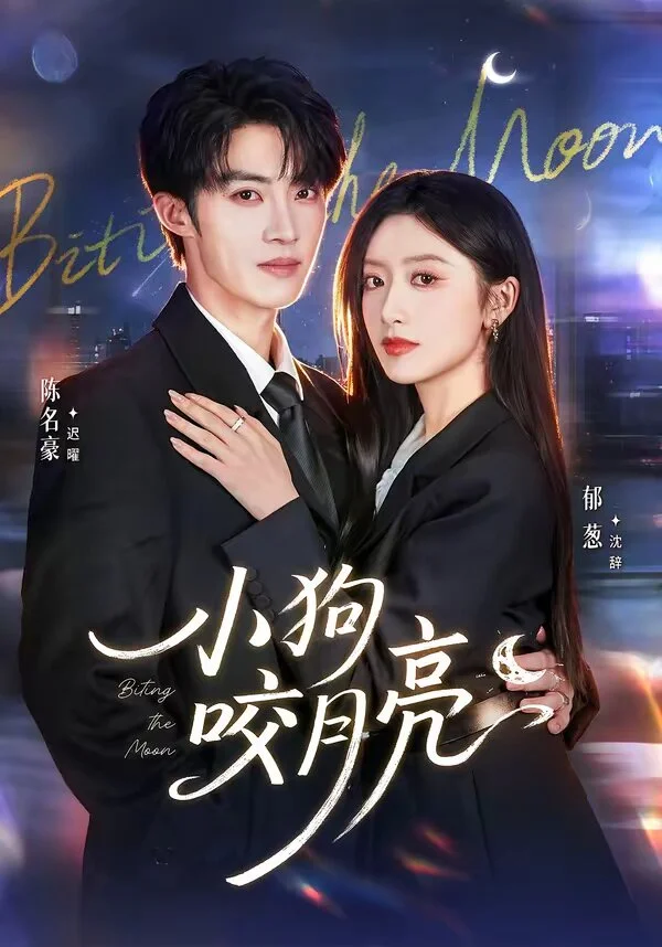 小狗咬月亮 海报