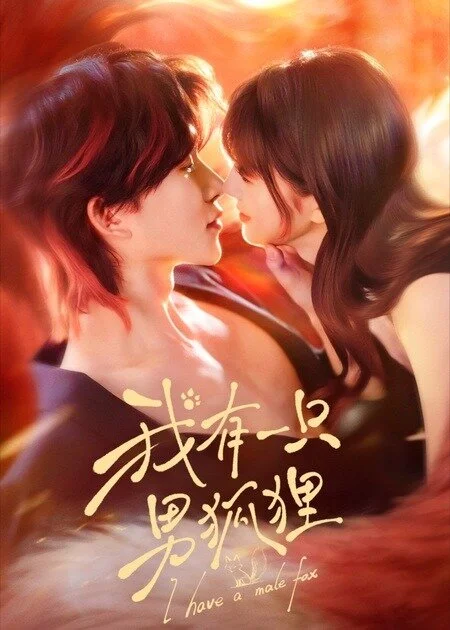 我有一只男狐狸 海报