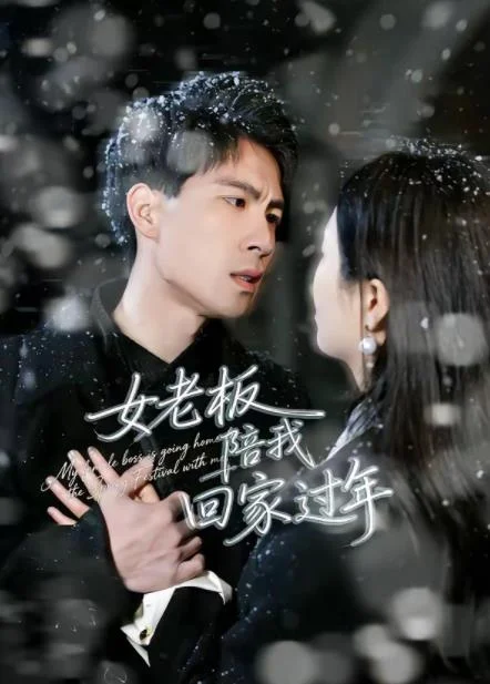 女老板陪我回家过年 海报