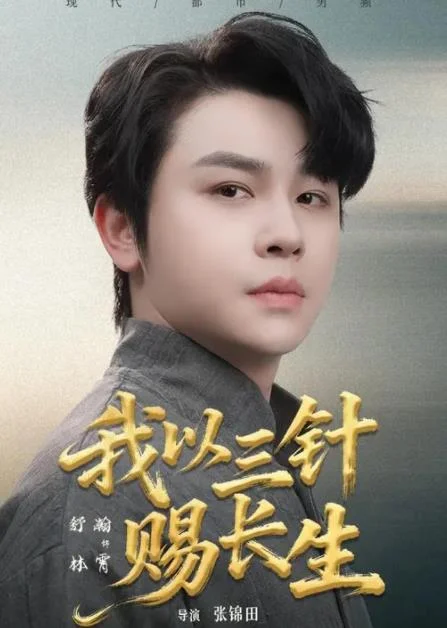 我以三针赐长生 海报