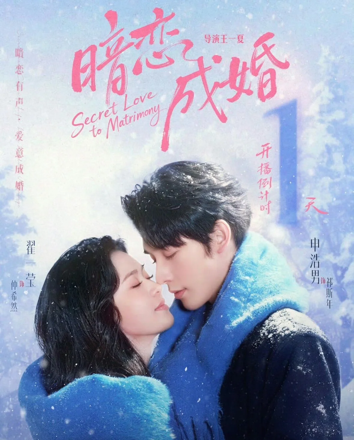 暗恋成婚 海报