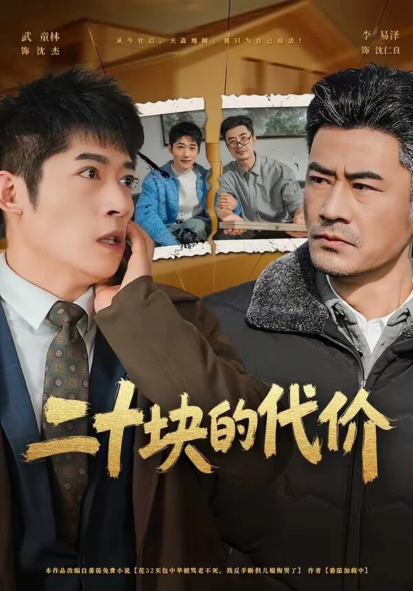 二十块的代价 海报