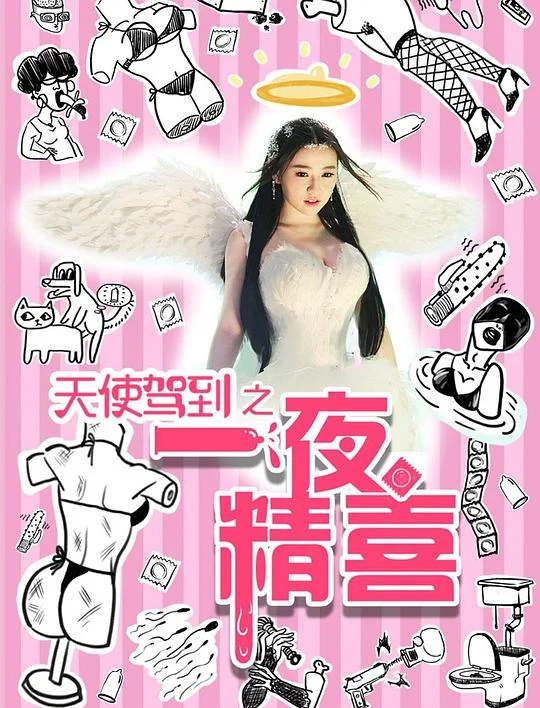 天使驾到之一夜精喜 海报