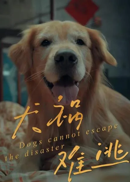 犬祸难逃