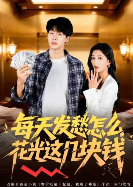 每天发愁怎么花光这几块钱 海报