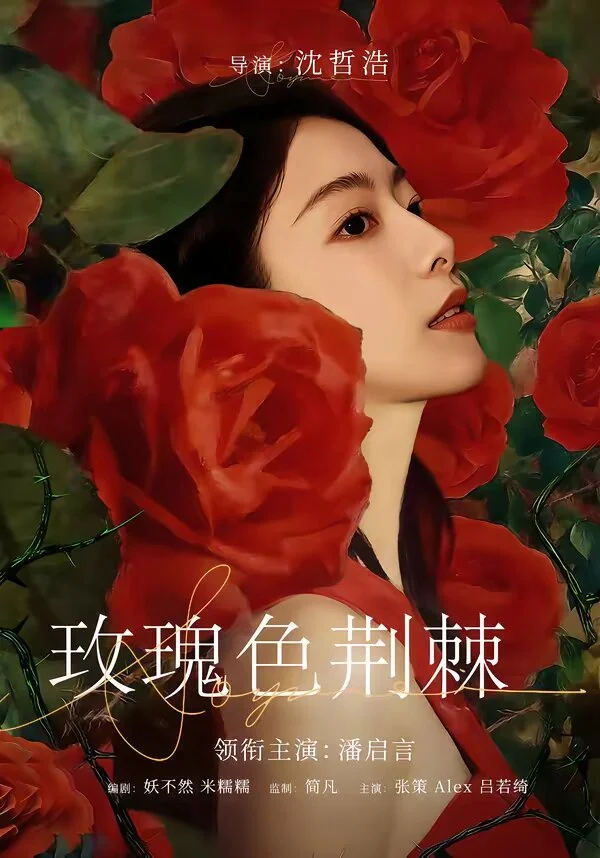 玫瑰色荆棘 海报